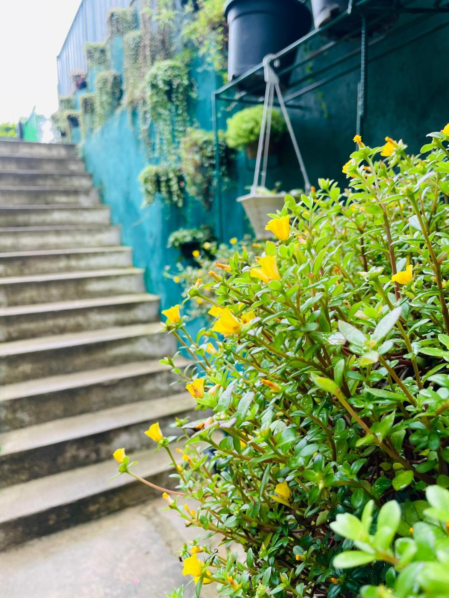 Little Paradise Homestay Ella Εξωτερικό φωτογραφία