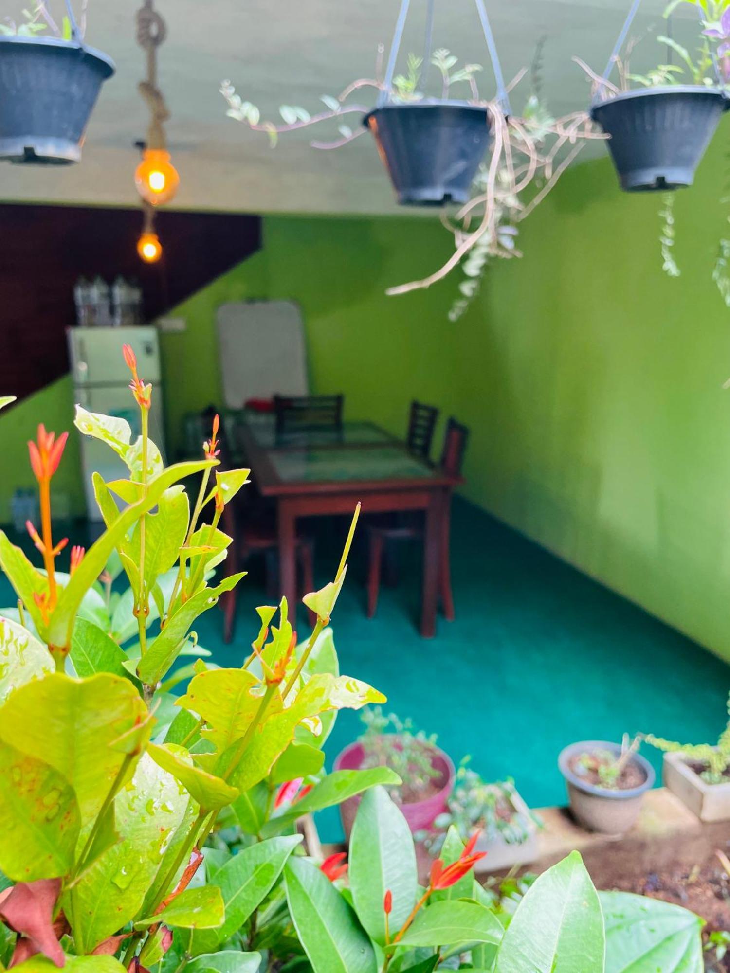 Little Paradise Homestay Ella Εξωτερικό φωτογραφία